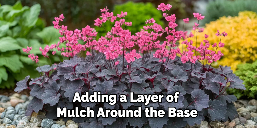 Adding a Layer of
Mulch Around the Base