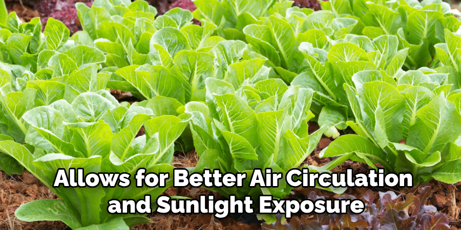 Allows for Better Air Circulation
and Sunlight Exposure