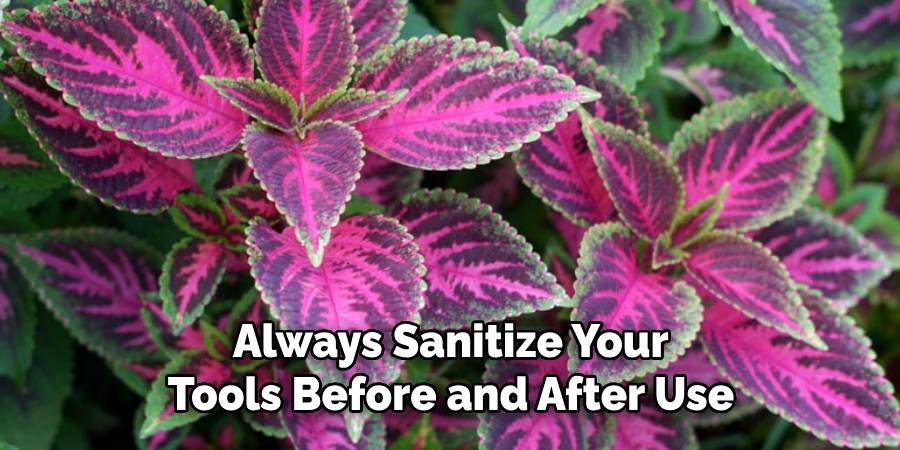 Always Sanitize Your
Tools Before and After Use