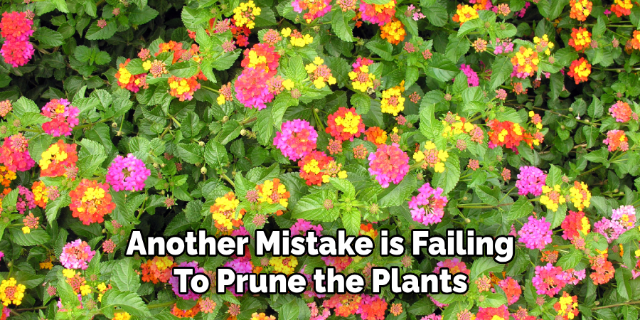 Another Mistake is Failing
To Prune the Plants