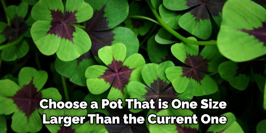 Choose a Pot That is One Size
Larger Than the Current One