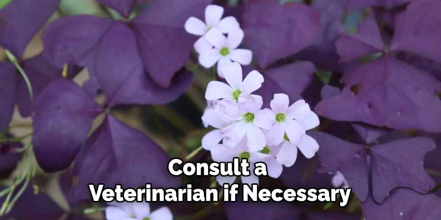 Consult a
Veterinarian if Necessary