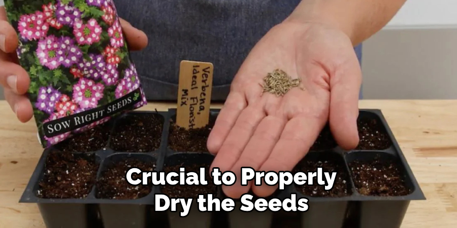 Crucial to Properly
Dry the Seeds