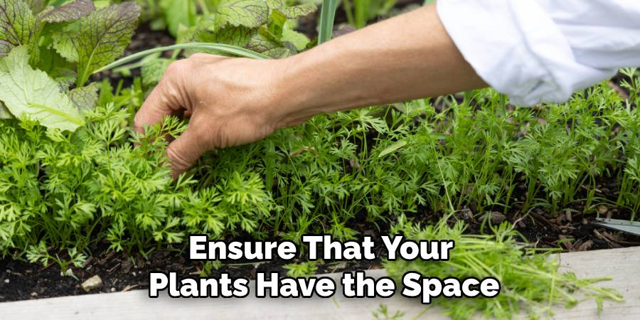 Ensure That Your
Plants Have the Space