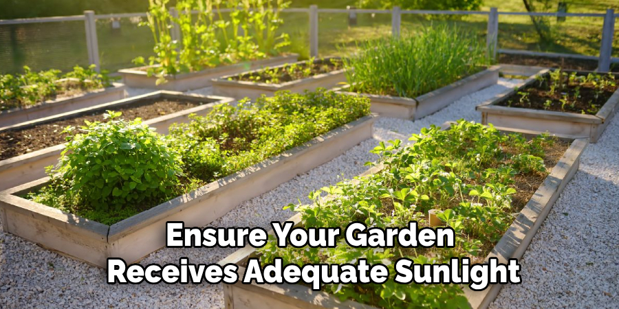 Ensure Your Garden
Receives Adequate Sunlight