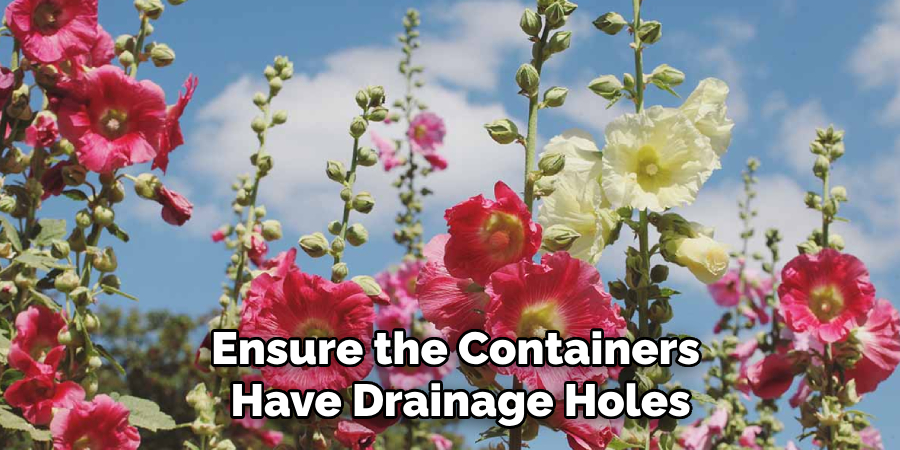 Ensure the Containers
Have Drainage Holes