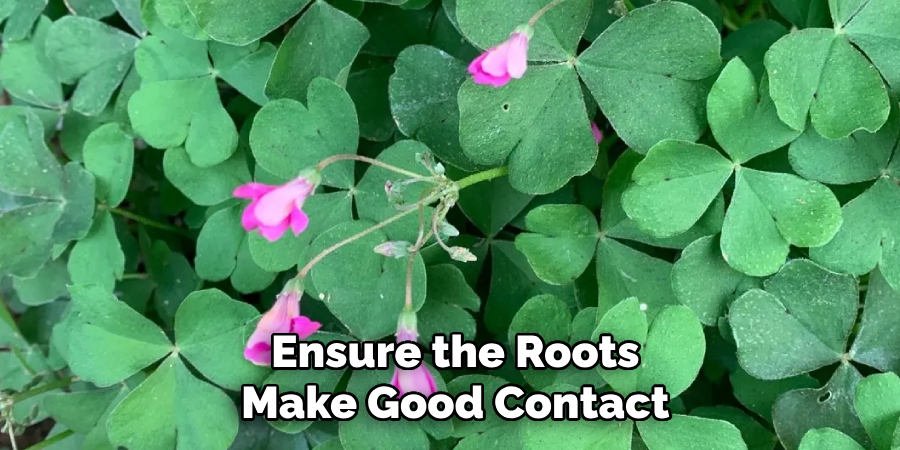 Ensure the Roots
Make Good Contact