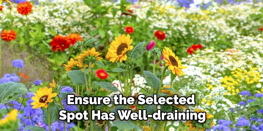 Ensure the Selected
Spot Has Well-draining
