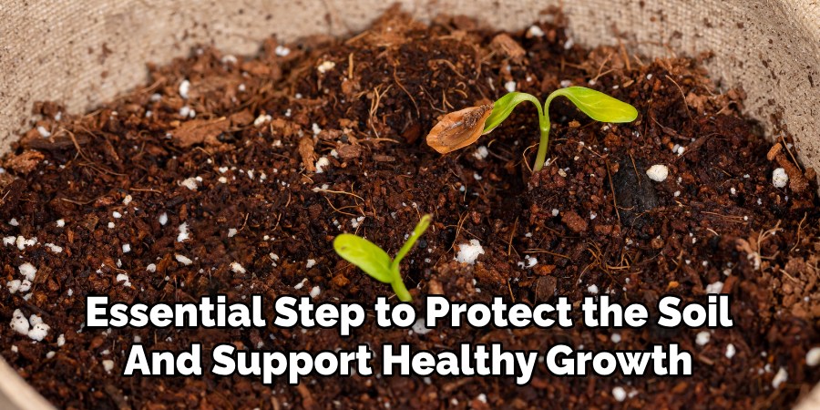 Essential Step to Protect the Soil
And Support Healthy Growth