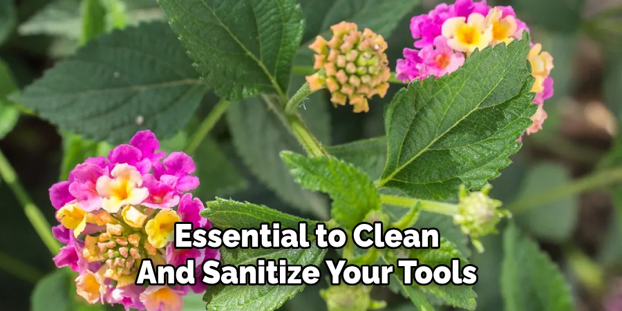 Essential to Clean
And Sanitize Your Tools