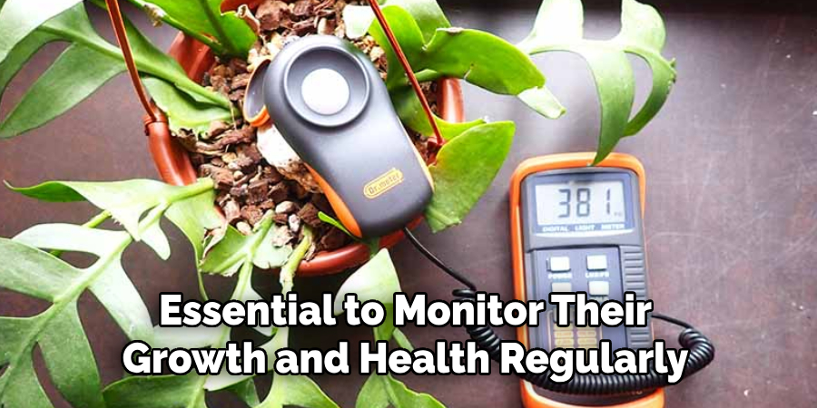 Essential to Monitor Their
Growth and Health Regularly