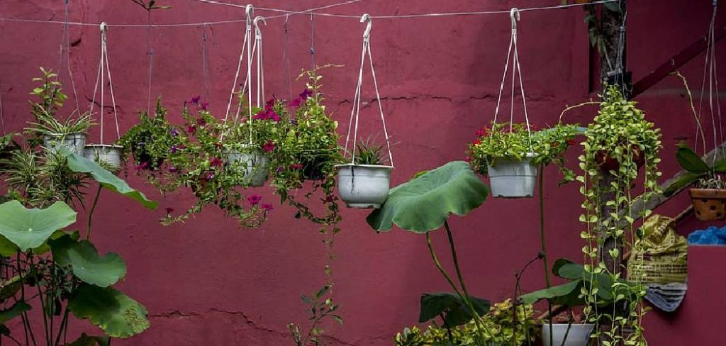 How to Water High Hanging Plants