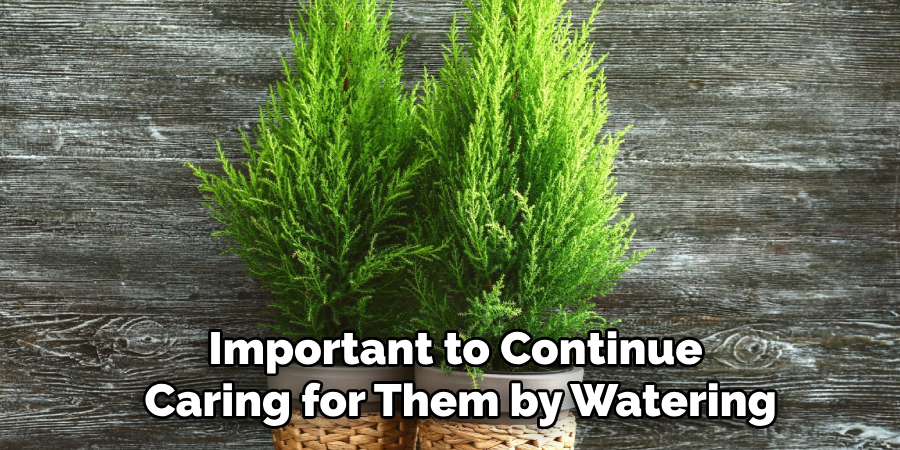 Important to Continue
Caring for Them by Watering