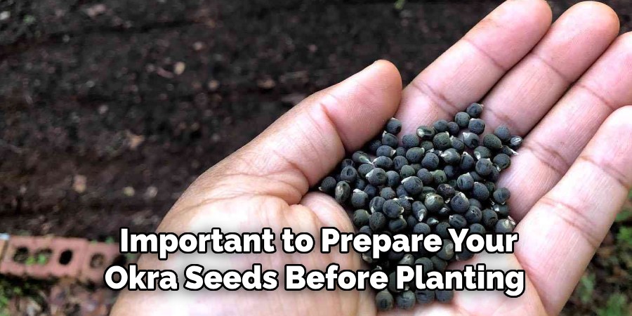  Important to Prepare Your 
Okra Seeds Before Planting 