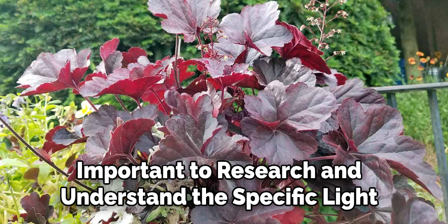 Important to Research and
Understand the Specific Light