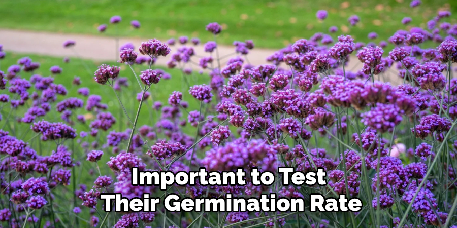 Important to Test
Their Germination Rate