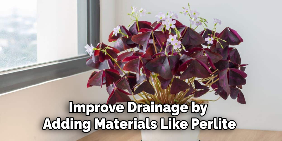 Improve Drainage by
Adding Materials Like Perlite