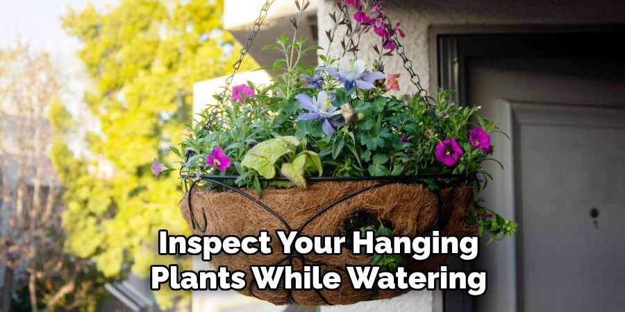 Inspect Your Hanging
Plants While Watering