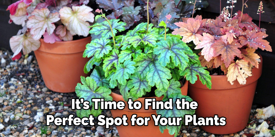 It’s Time to Find the
Perfect Spot for Your Plants