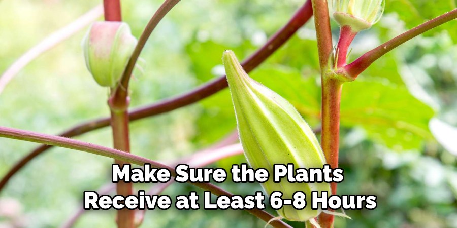 Make Sure the Plants 
Receive at Least 6-8 Hours
