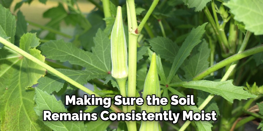 Making Sure the Soil 
Remains Consistently Moist 