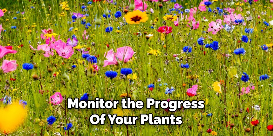 Monitor the Progress
Of Your Plants