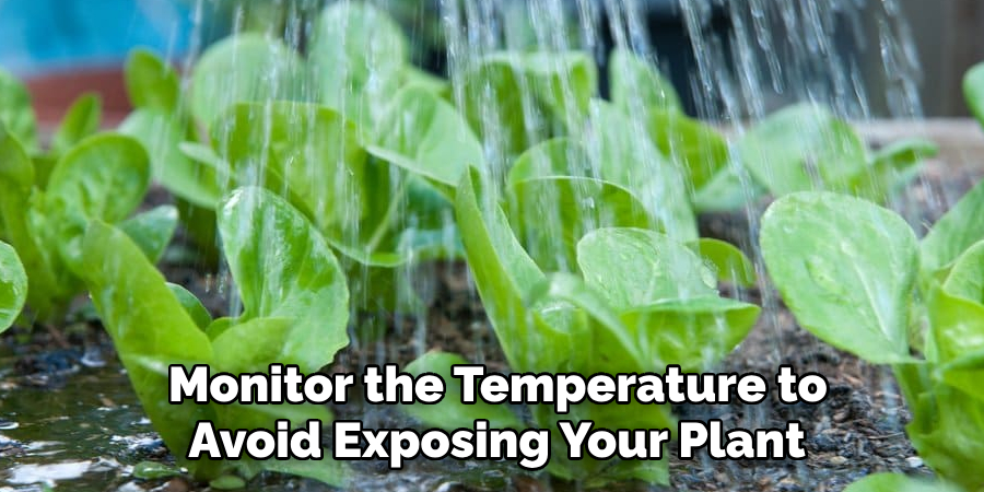 Monitor the Temperature to
Avoid Exposing Your Plant
