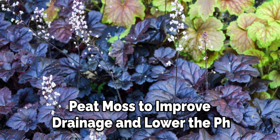 Peat Moss to Improve
Drainage and Lower the Ph