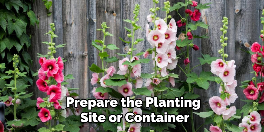 Prepare the Planting
Site or Container