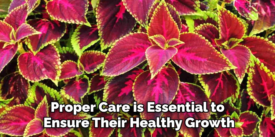 Proper Care is Essential to
Ensure Their Healthy Growth