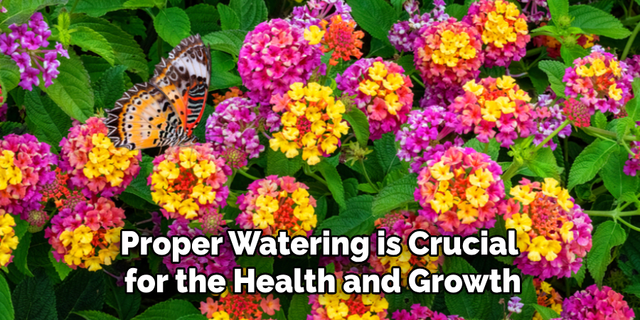 Proper Watering is Crucial
for the Health and Growth