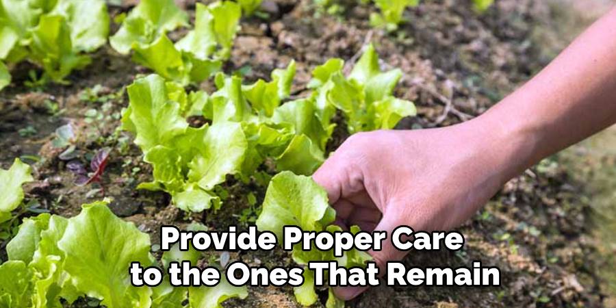 Provide Proper Care
to the Ones That Remain