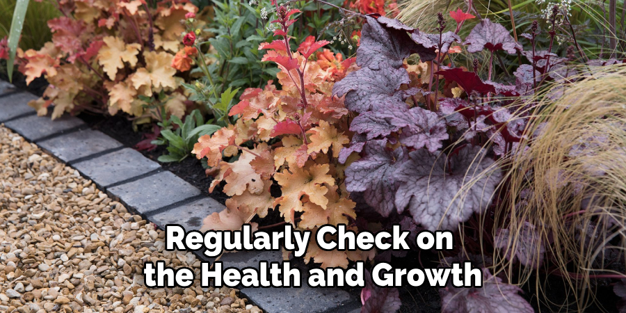 Regularly Check on
the Health and Growth