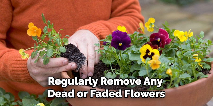 Regularly Remove Any 
Dead or Faded Flowers
