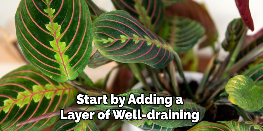 Start by Adding a
Layer of Well-draining