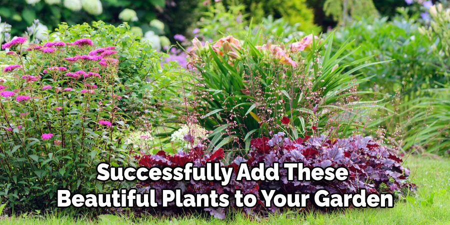 Successfully Add These
Beautiful Plants to Your Garden