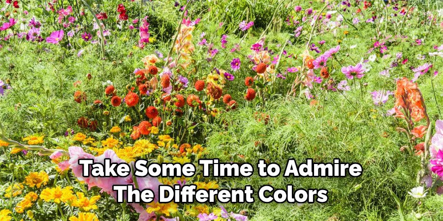 Take Some Time to Admire
The Different Colors