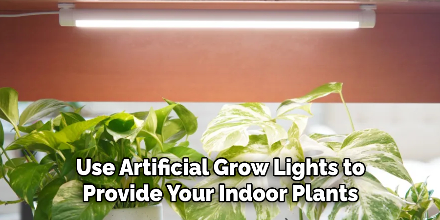 Use Artificial Grow Lights to
Provide Your Indoor Plants