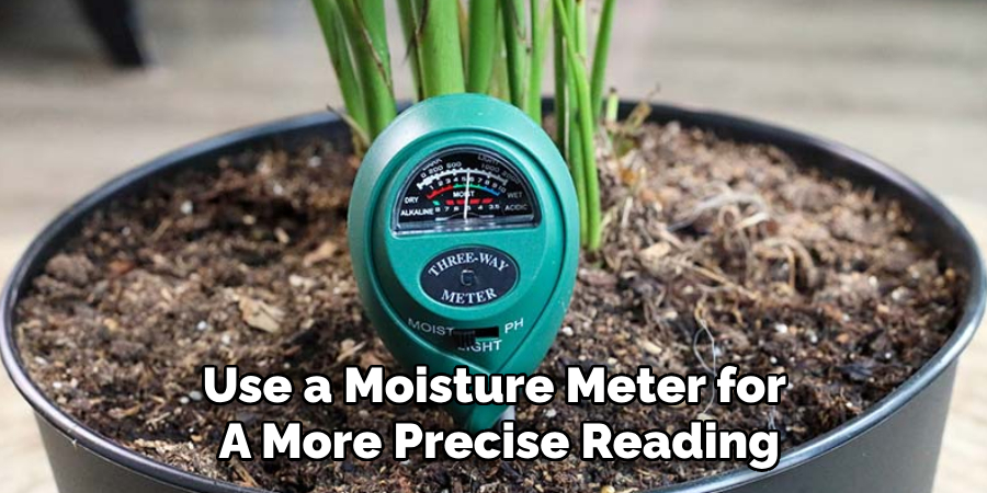 Use a Moisture Meter for
A More Precise Reading