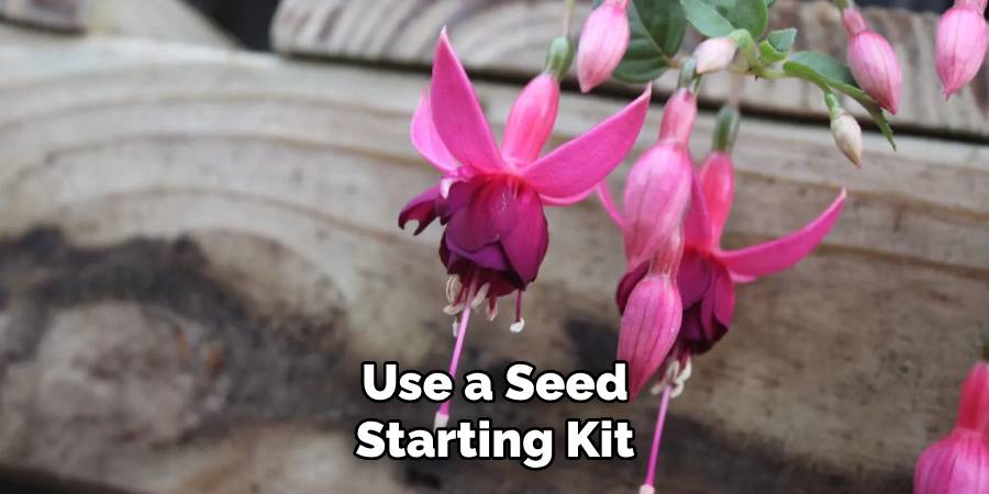 Use a Seed
Starting Kit