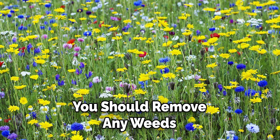 You Should Remove
Any Weeds