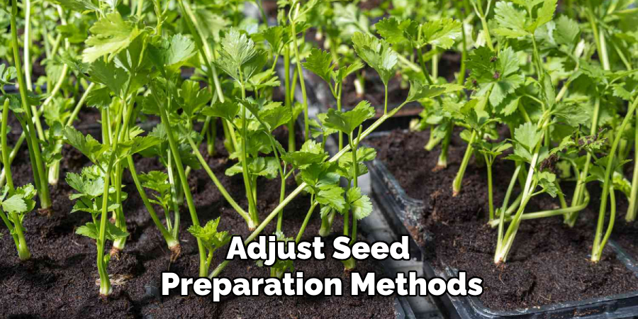 Adjust Seed
Preparation Methods