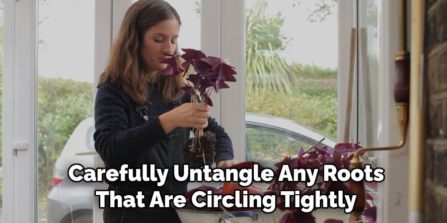 Carefully Untangle Any Roots
That Are Circling Tightly