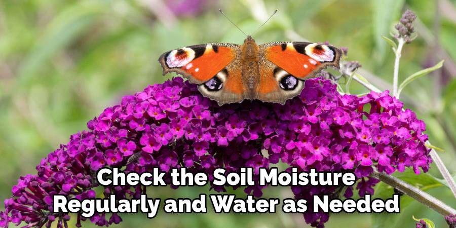 Check the Soil Moisture
Regularly and Water as Needed