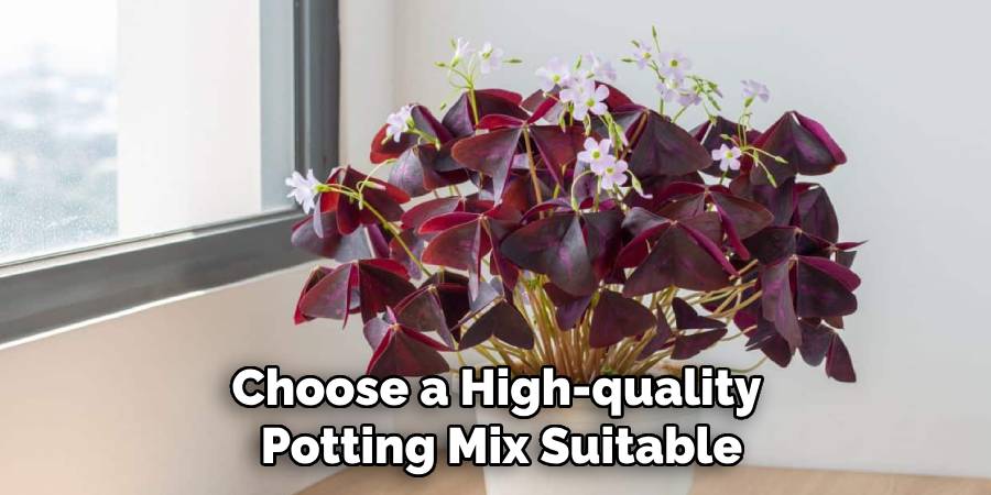 Choose a High-quality
Potting Mix Suitable