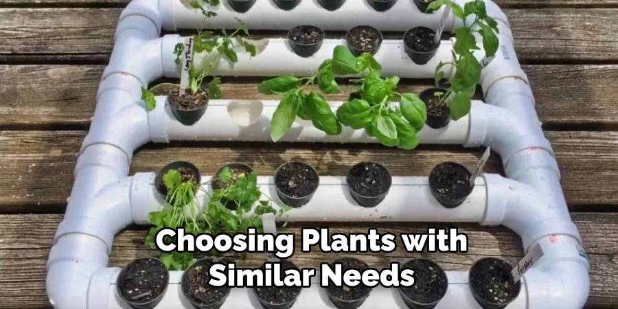 Choosing Plants with Similar Needs