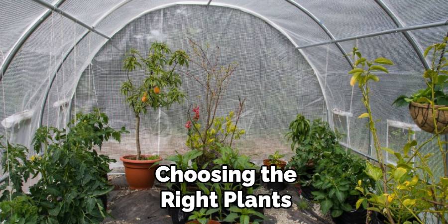 Choosing the Right Plants