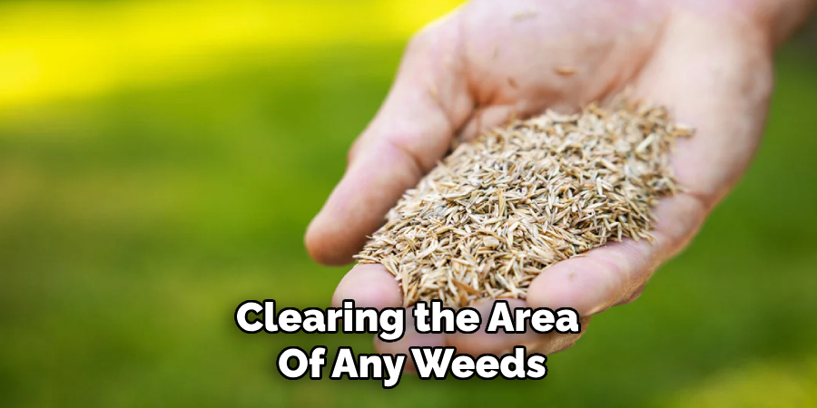 Clearing the Area 
Of Any Weeds