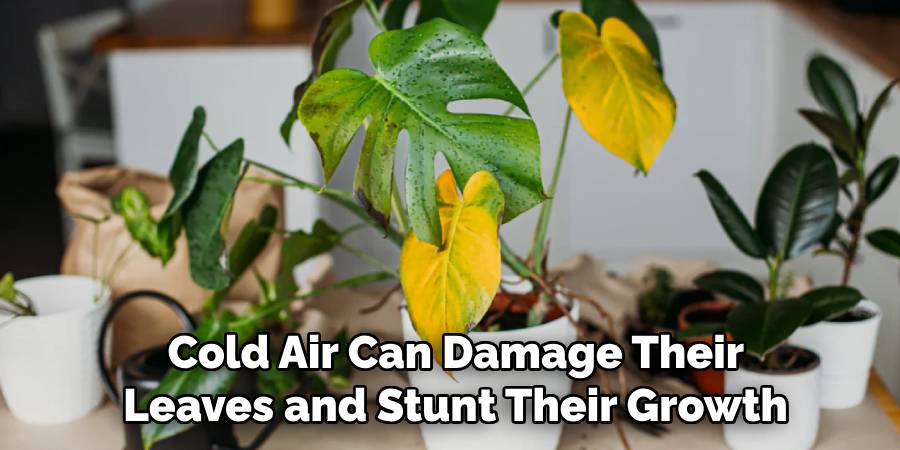 Cold Air Can Damage Their
Leaves and Stunt Their Growth