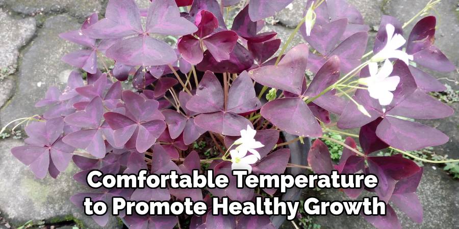 Comfortable Temperature
to Promote Healthy Growth
